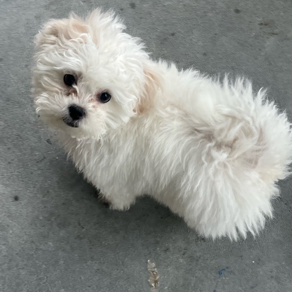 Meet your Posher, Kay - Picture 3 of 3